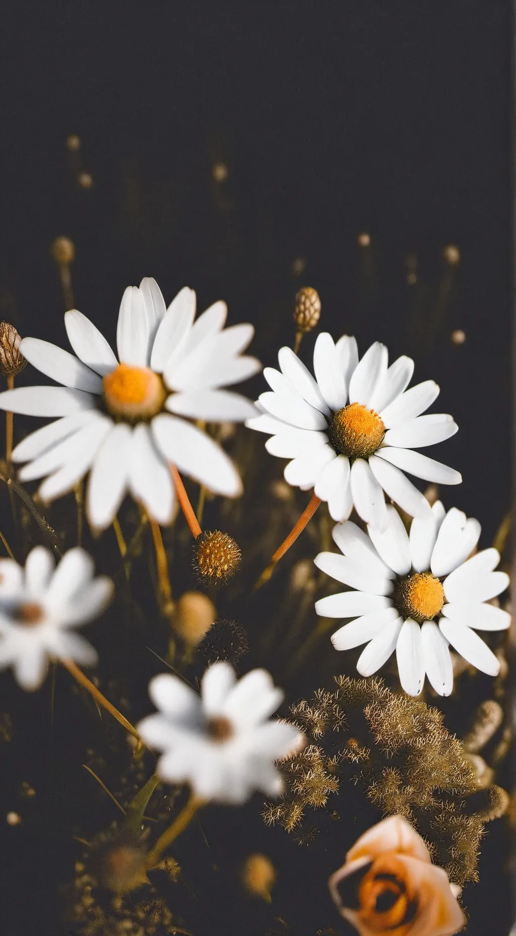 ai character: new girl VS Y/N background