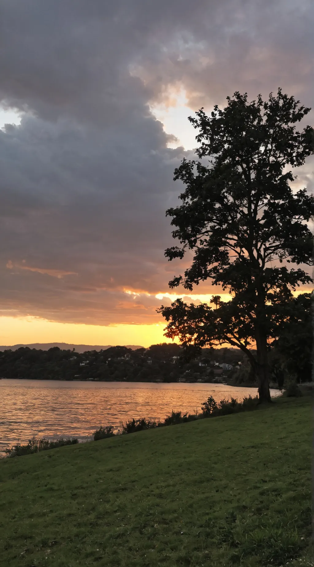 ai character: ADA McDonald's  background