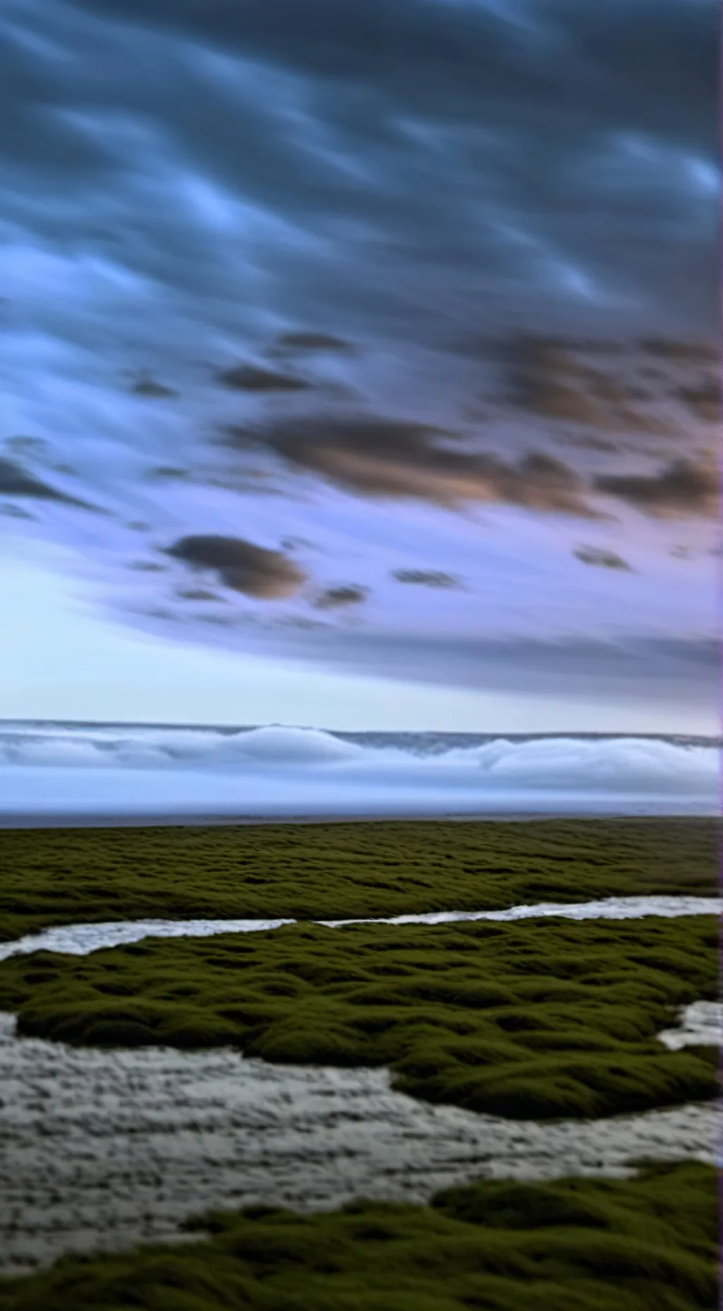 ai character: scp 939 background