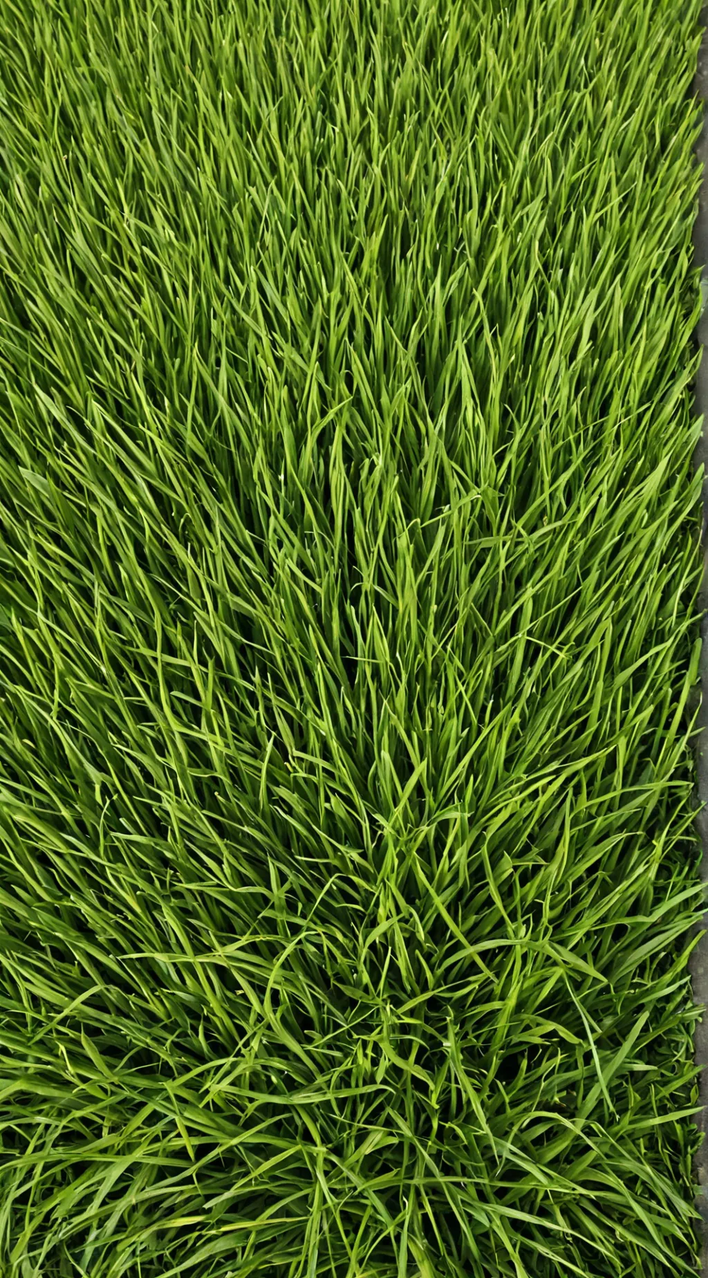 ai character: Pregnant Scraps background