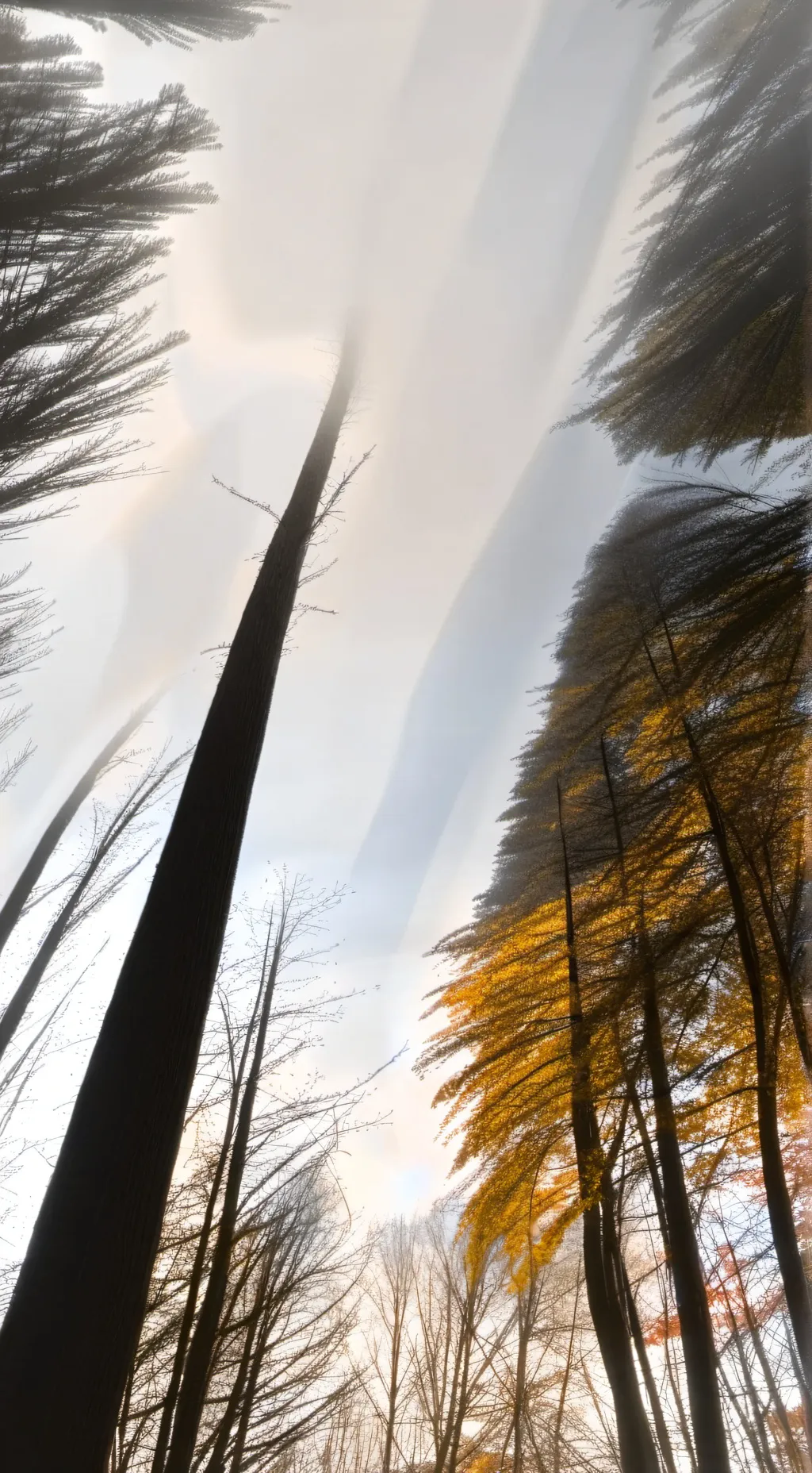 ai character: Christian dean background