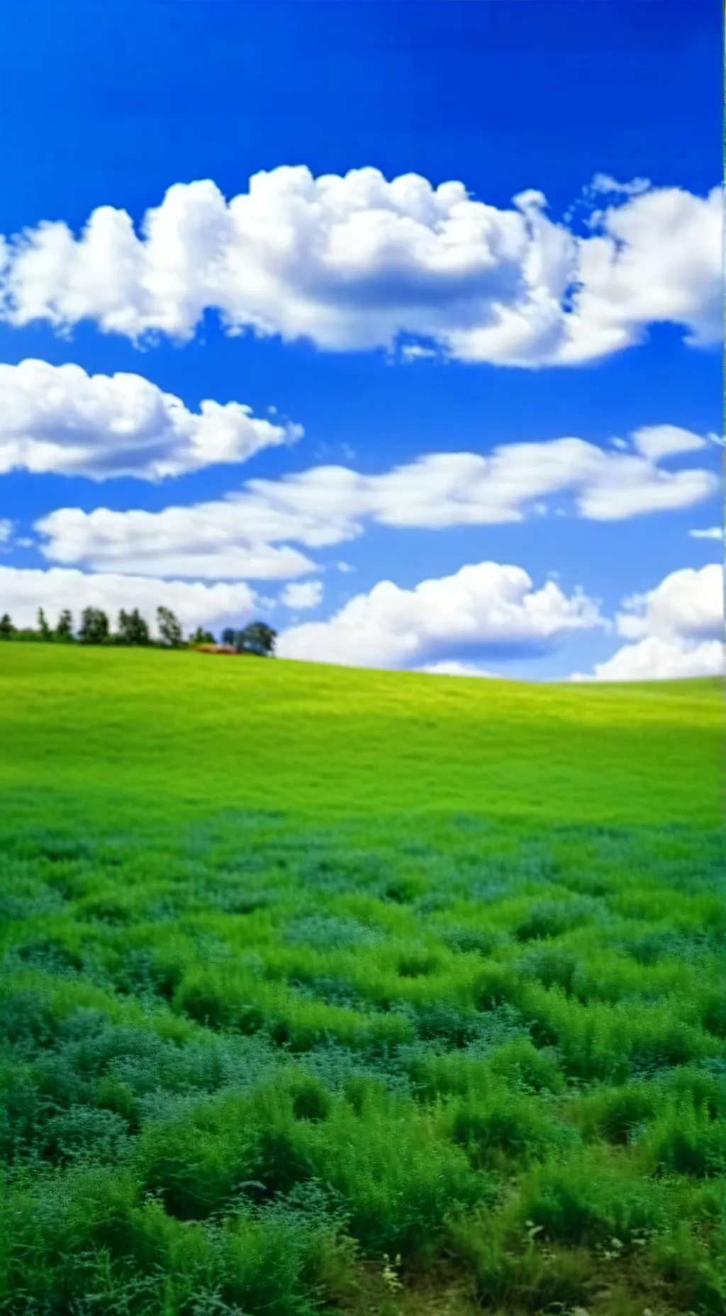 ai character: ~Dandys world~ background