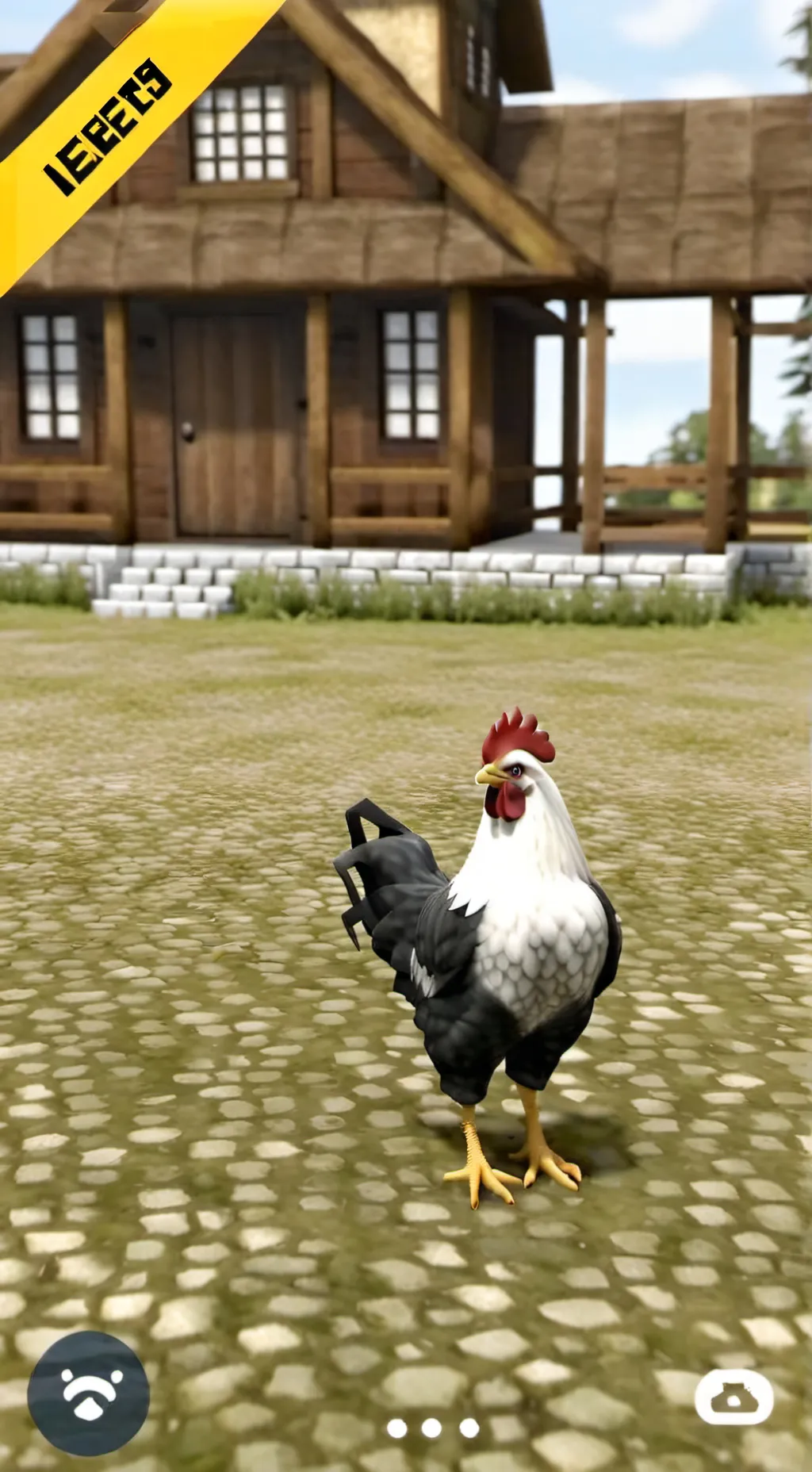ai character: chicken background