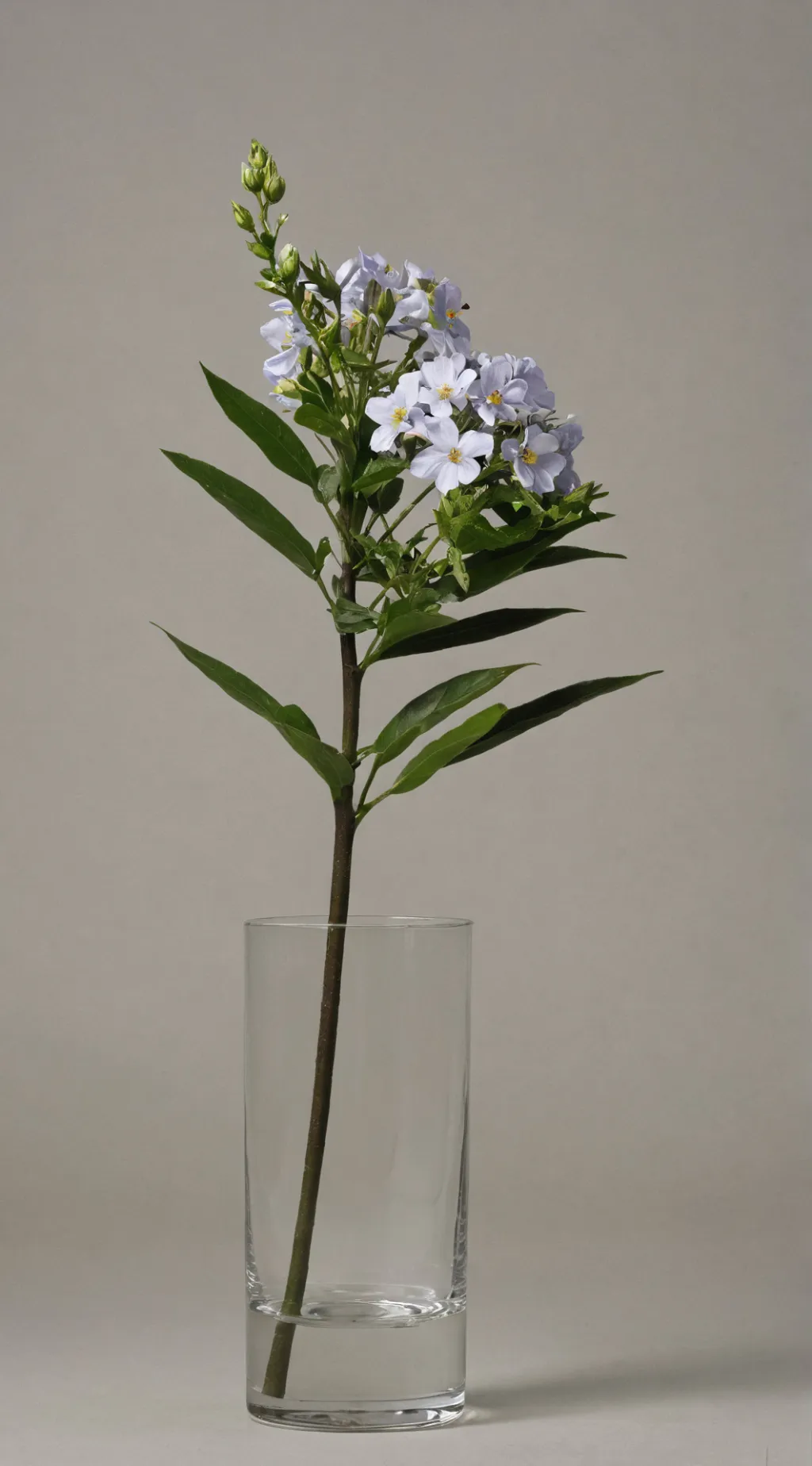 ai character: Inquisitor master  background