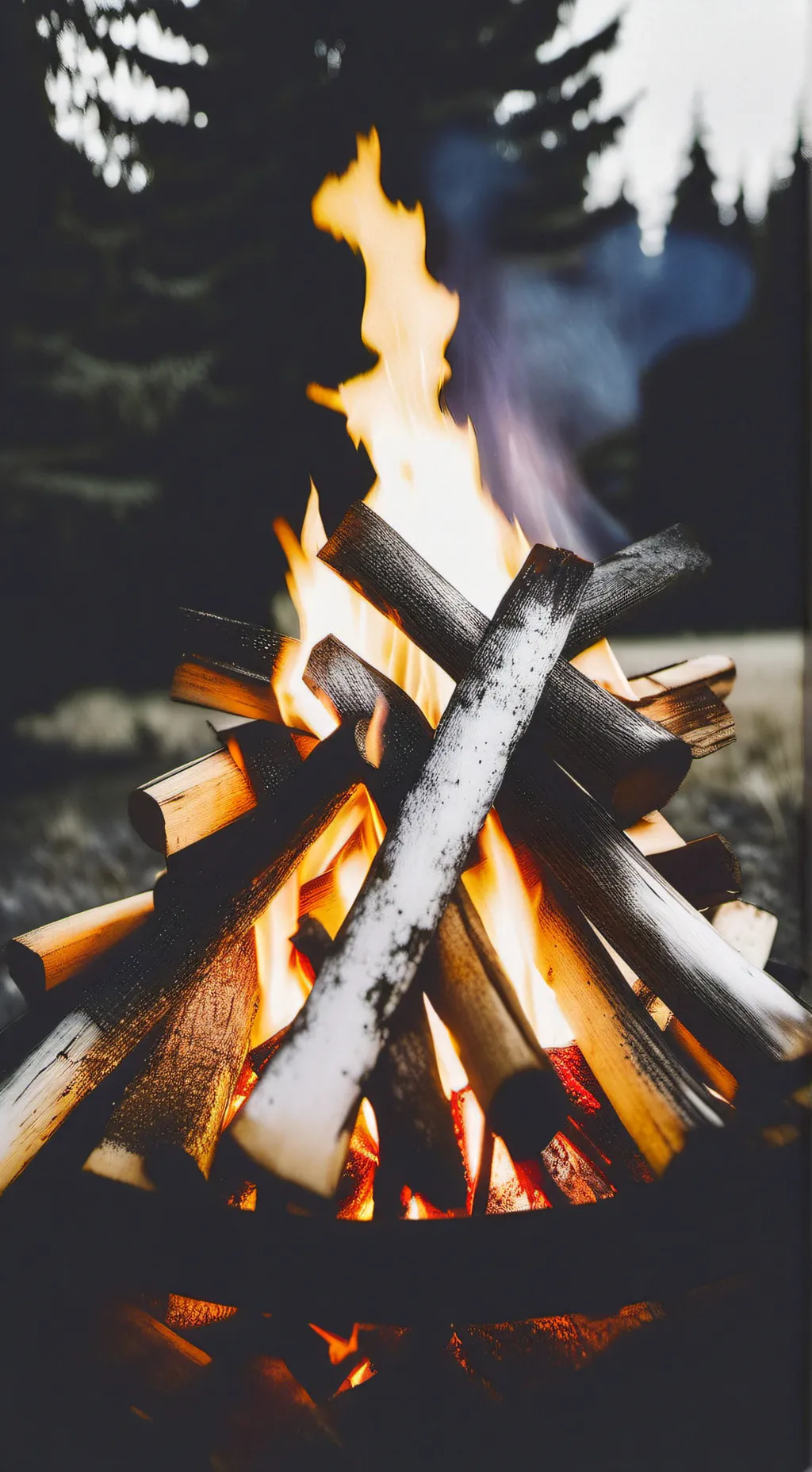 ai character: Daniel Larusso background