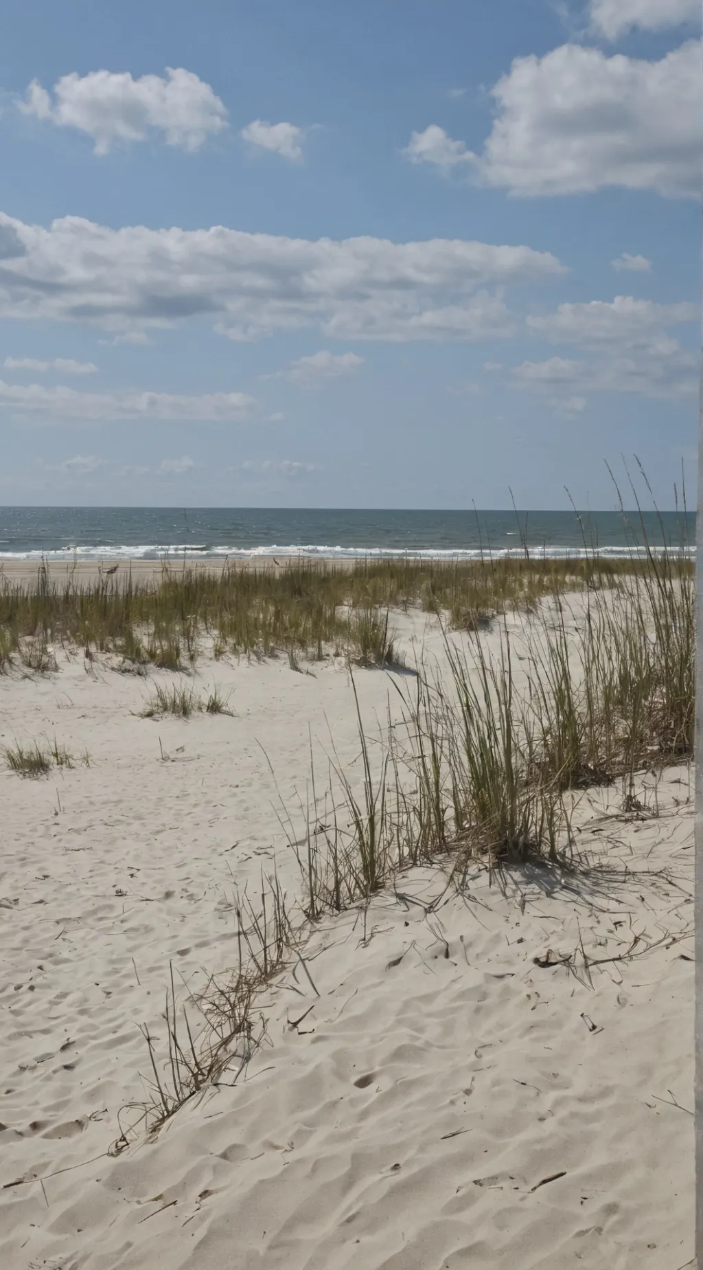 ai character: obx background