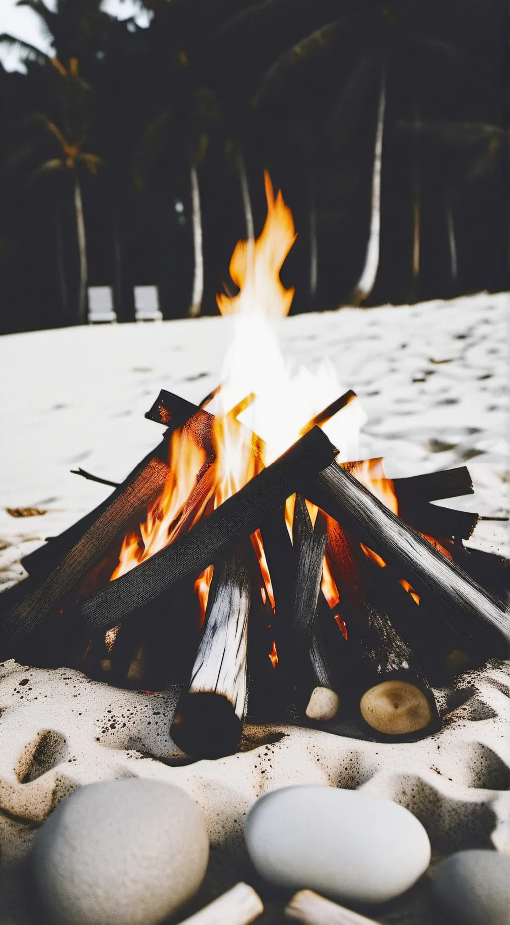 ai character: obx bonfire 🔥  background