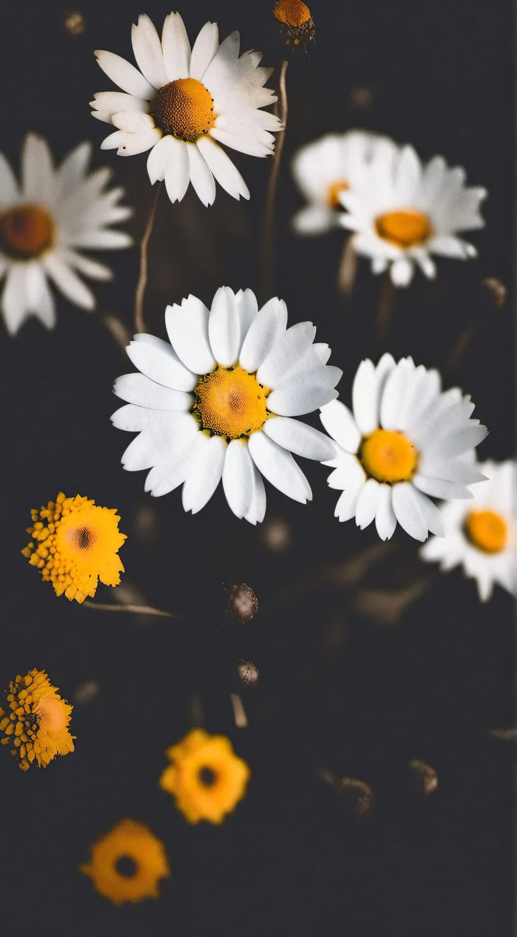 ai character: im back!! background