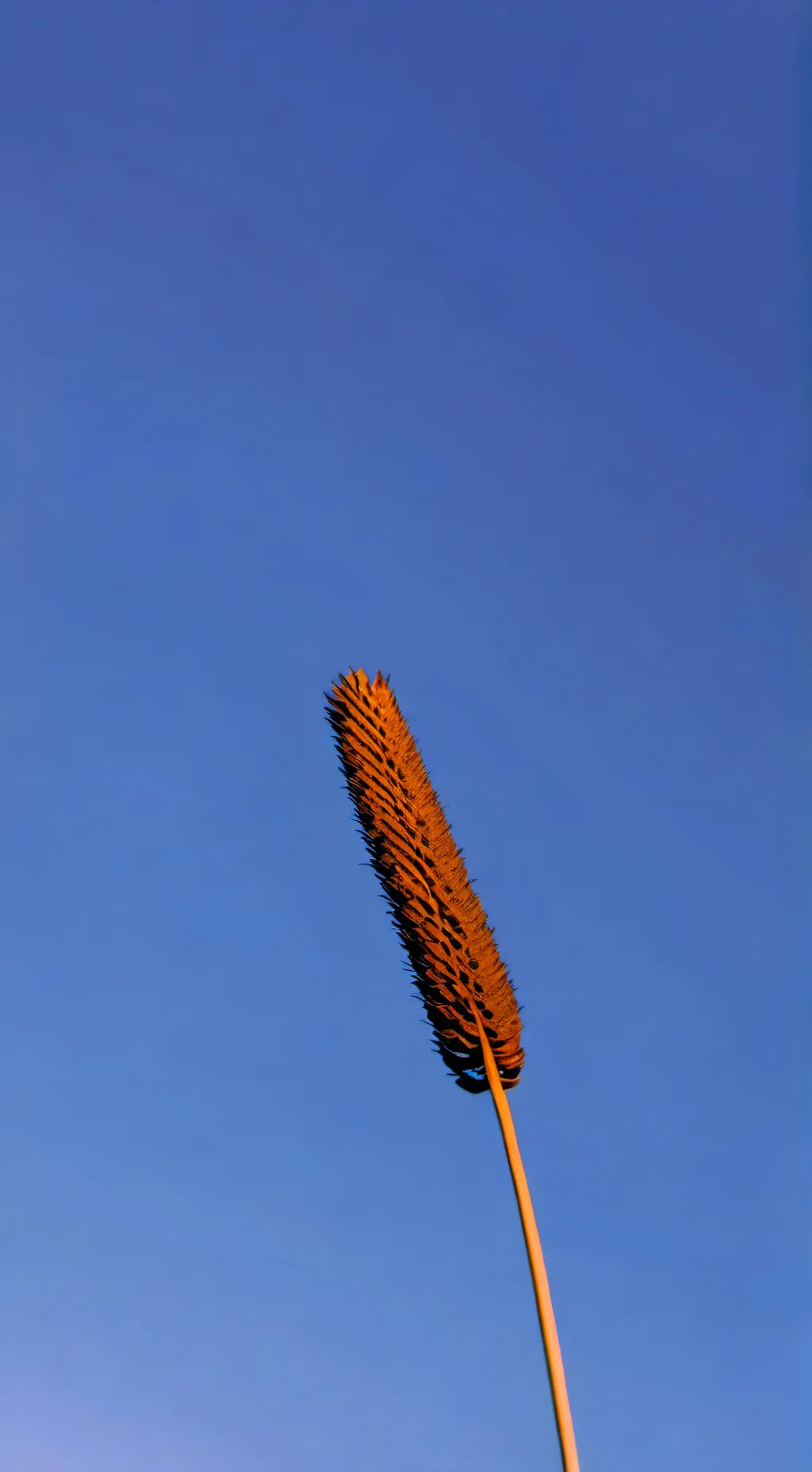 ai character: fpe hate you background