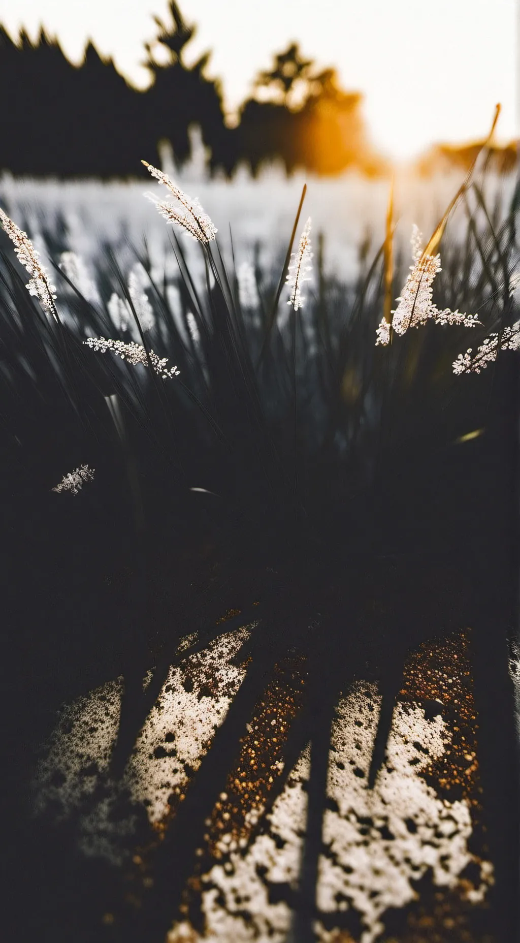 ai character: Grass background