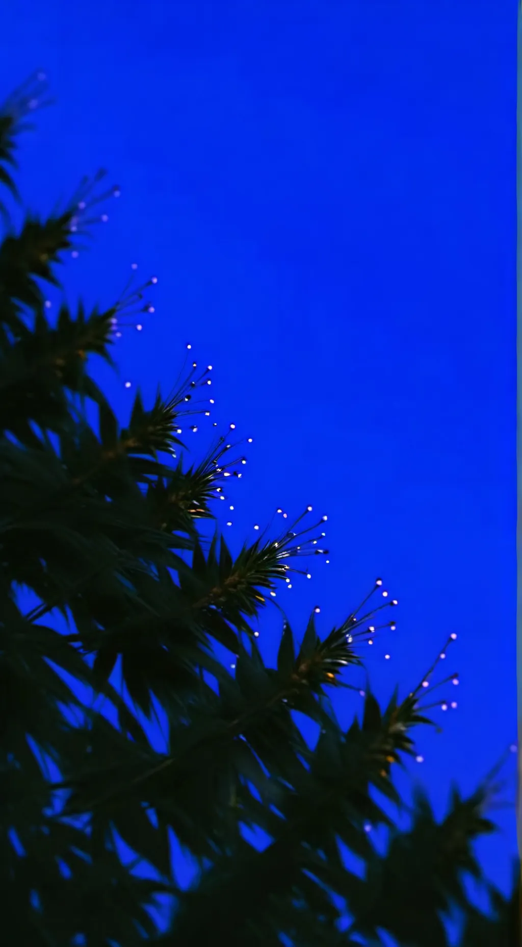 ai character: Spidey,super team  background