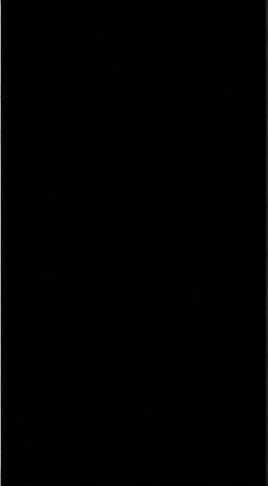 ai character: Brandon Rodgers  background