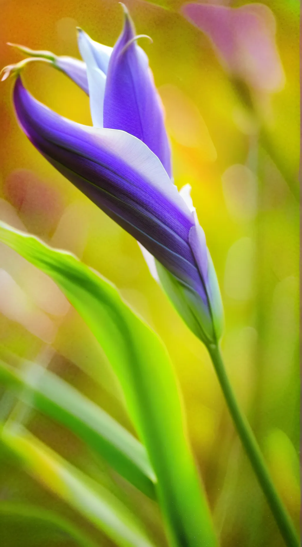 ai character: mha in the dorms background