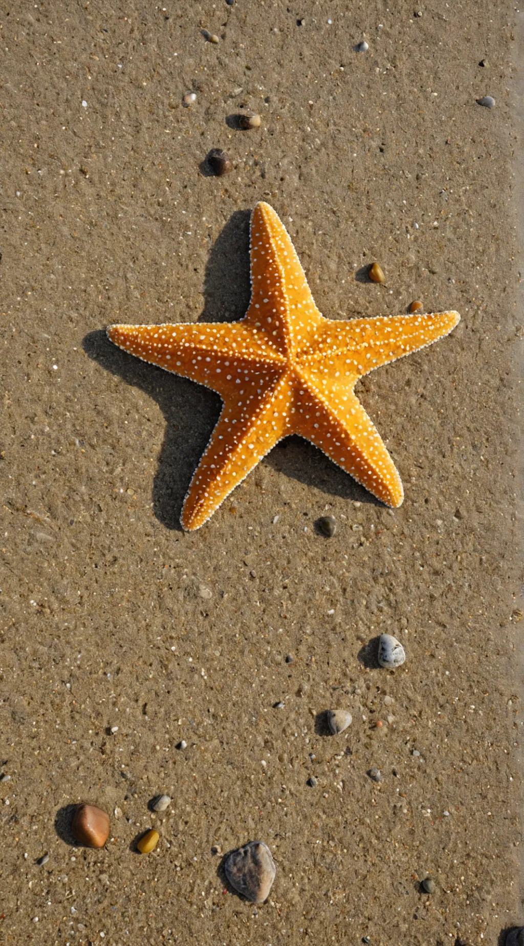 ai character: Fruitcake  background