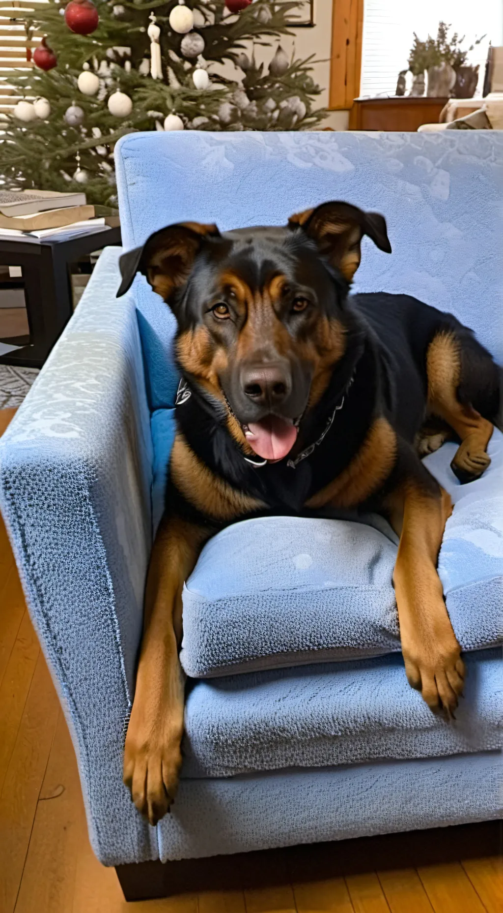 ai character: Gunner background