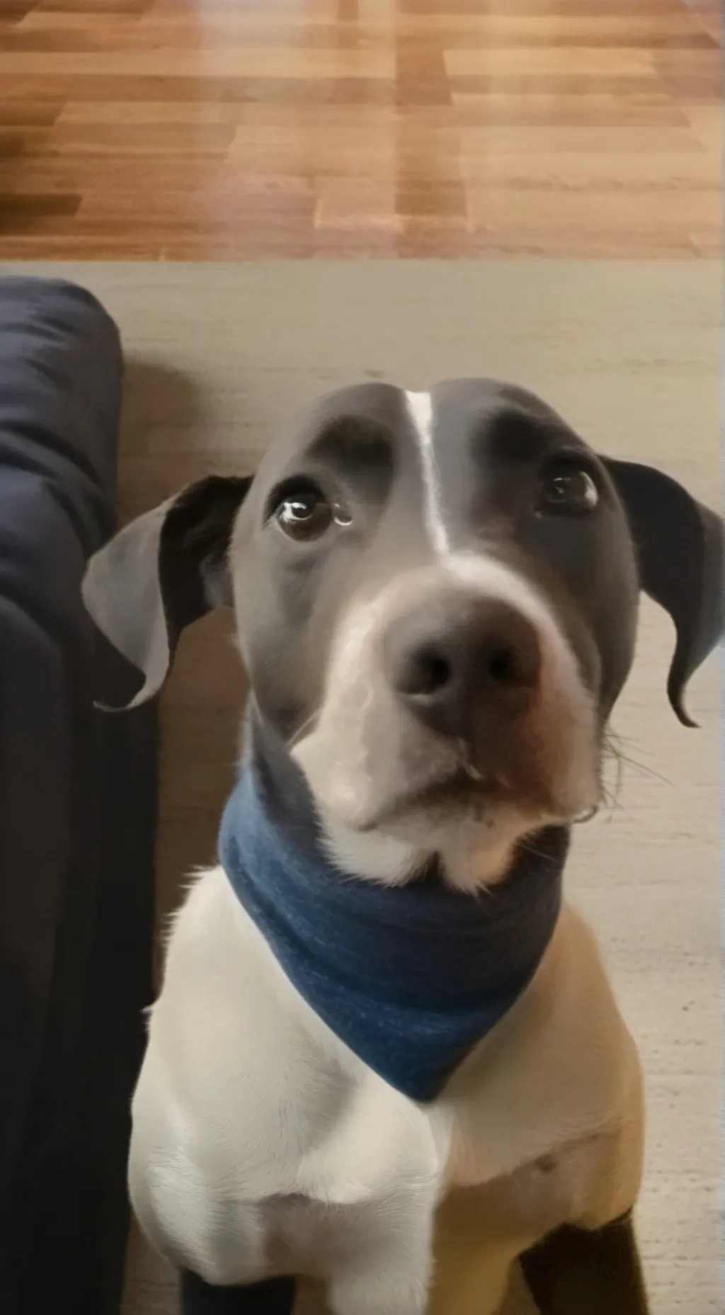 ai character: Dandy background