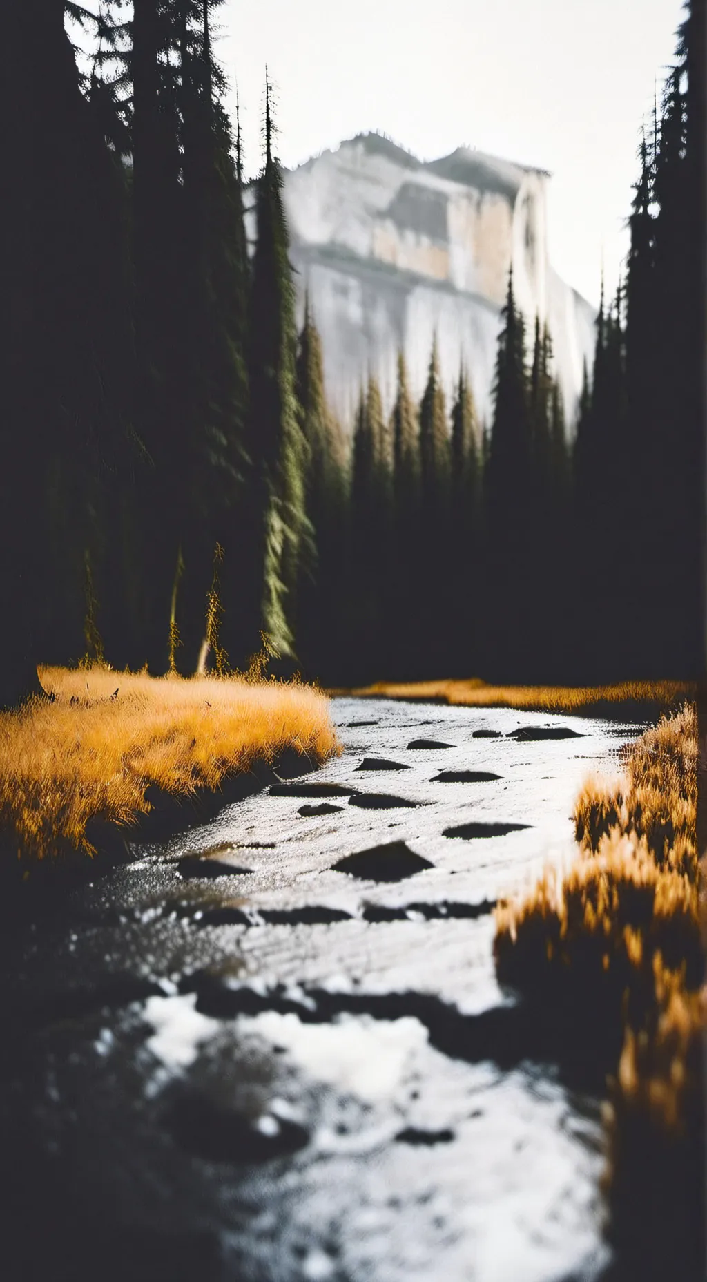 ai character: Se-mi (player 380) background