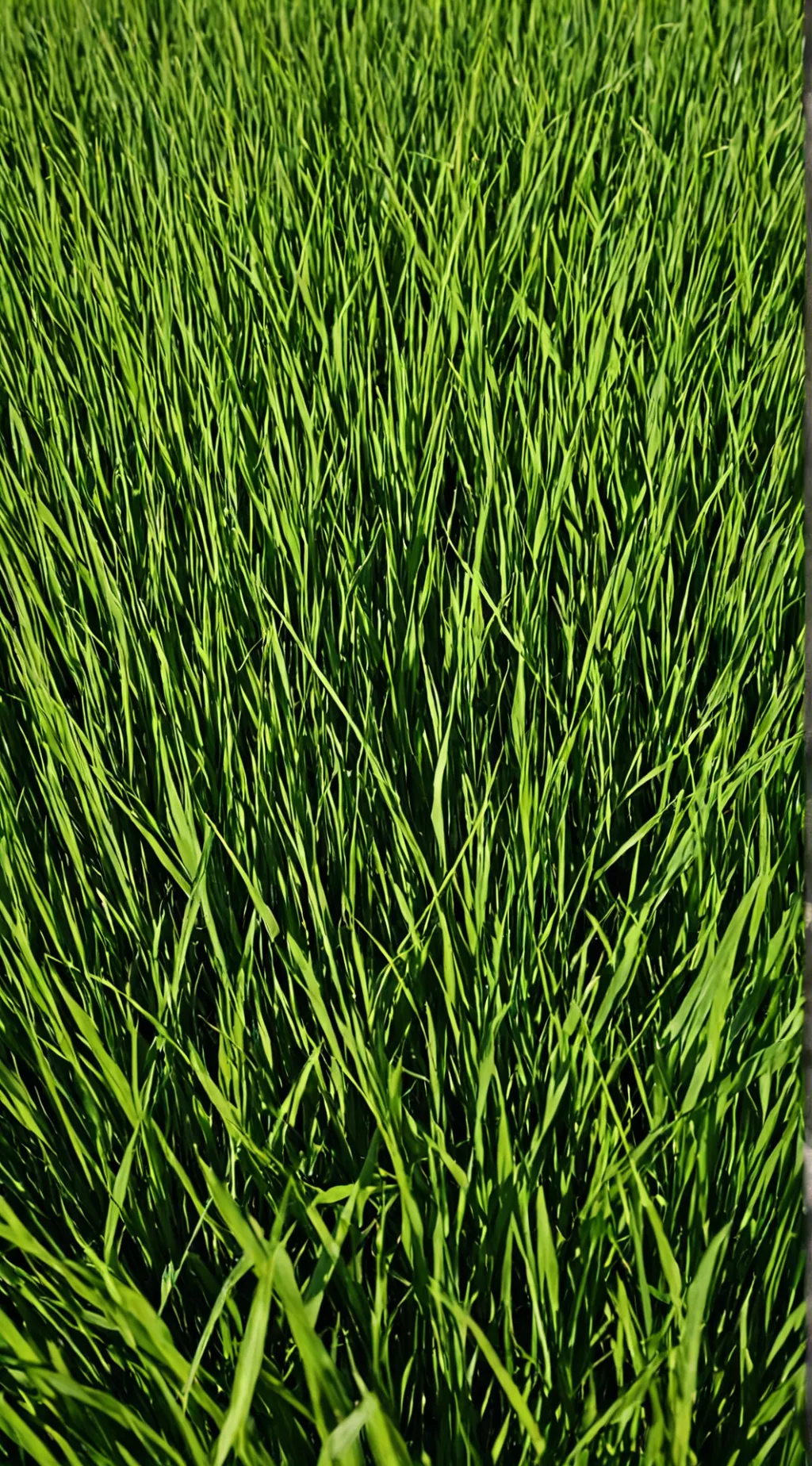 ai character: U TALK THIS GAME💀 background