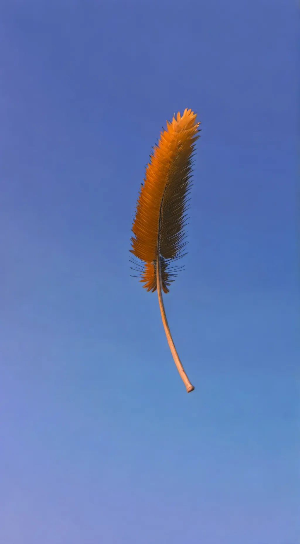 ai character: Oliver and Engel background