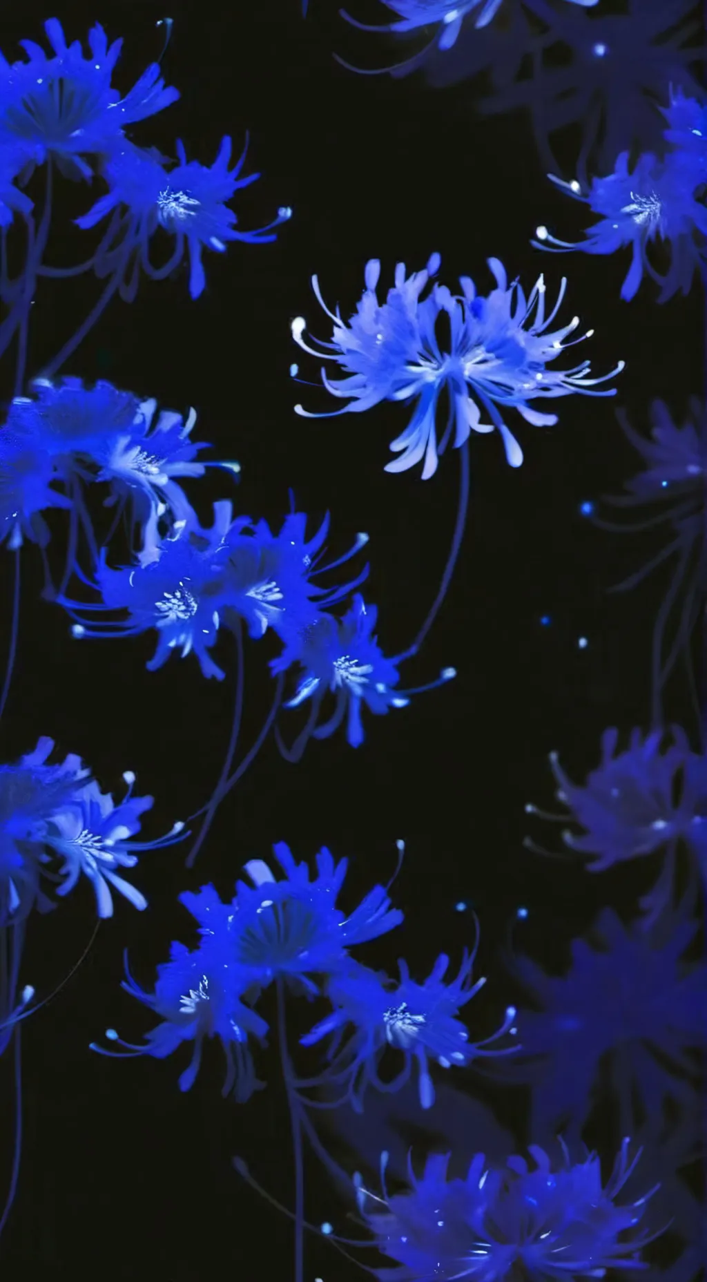 Talkie AI - Chat with Everyone wish