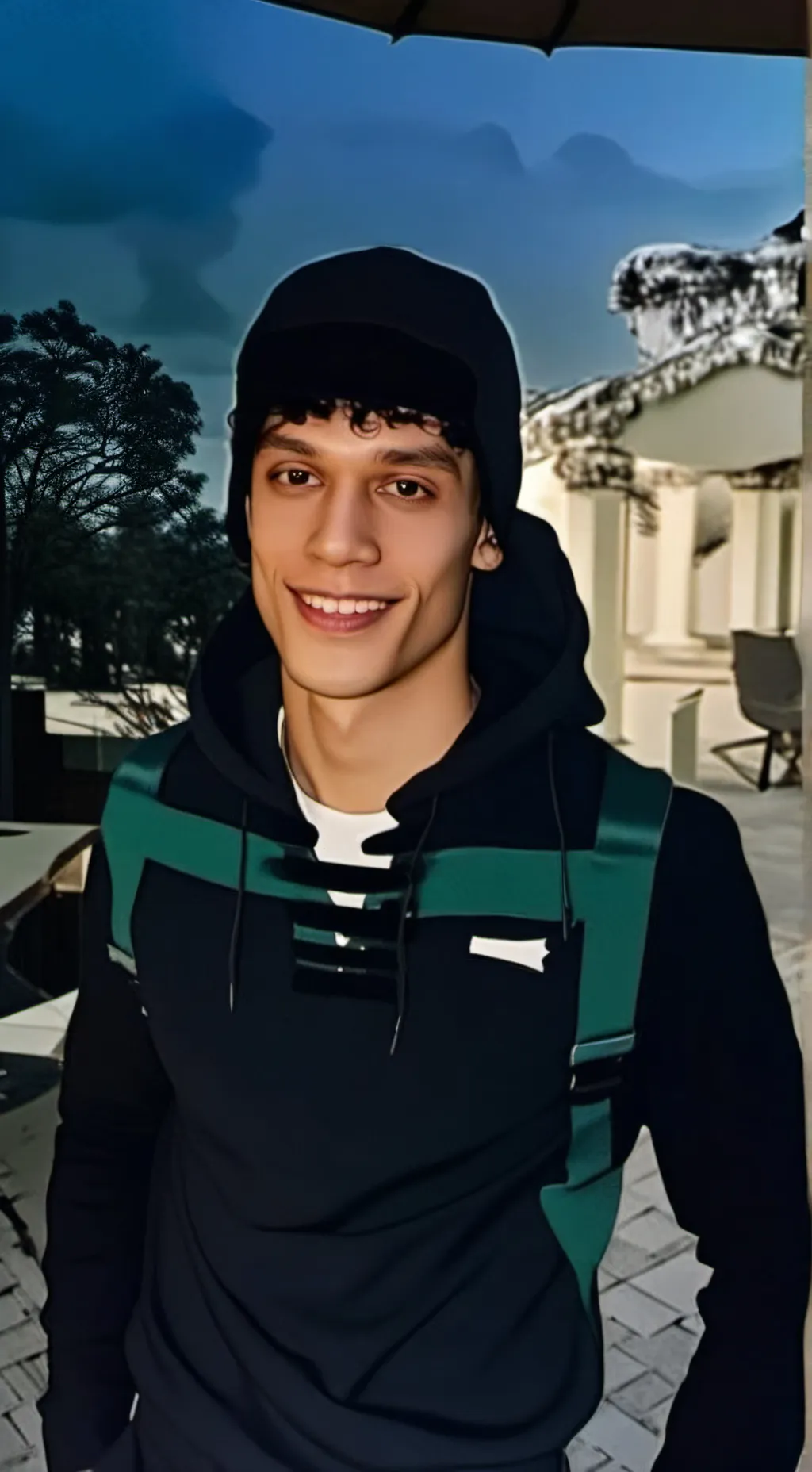 ai character: Dylan background