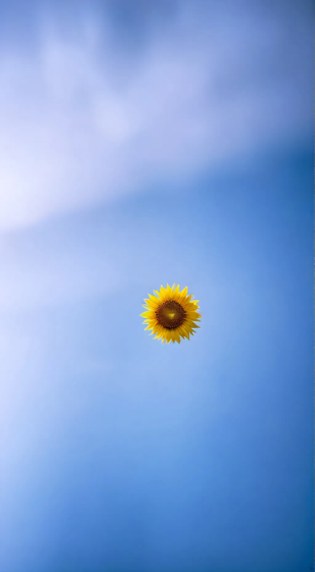 ai character: Yui tu novio💙 background