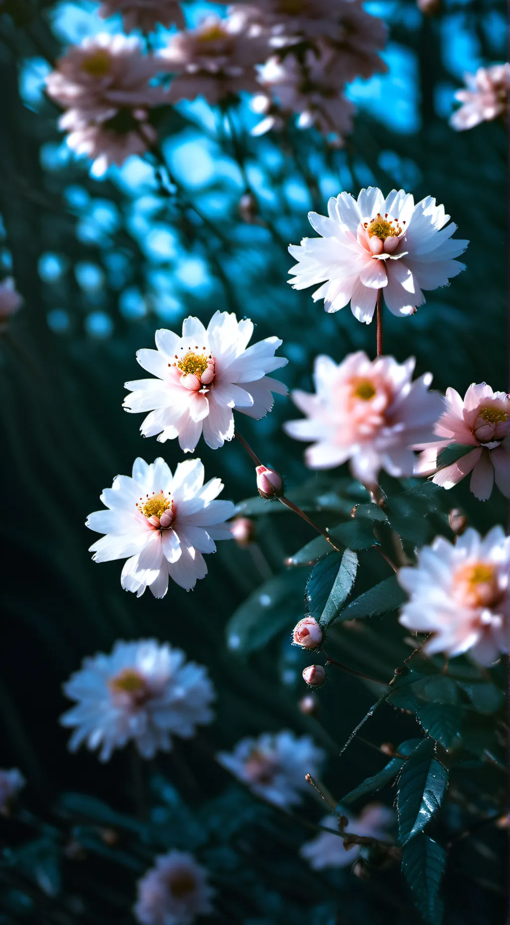 ai character: dandy (Roman)  background