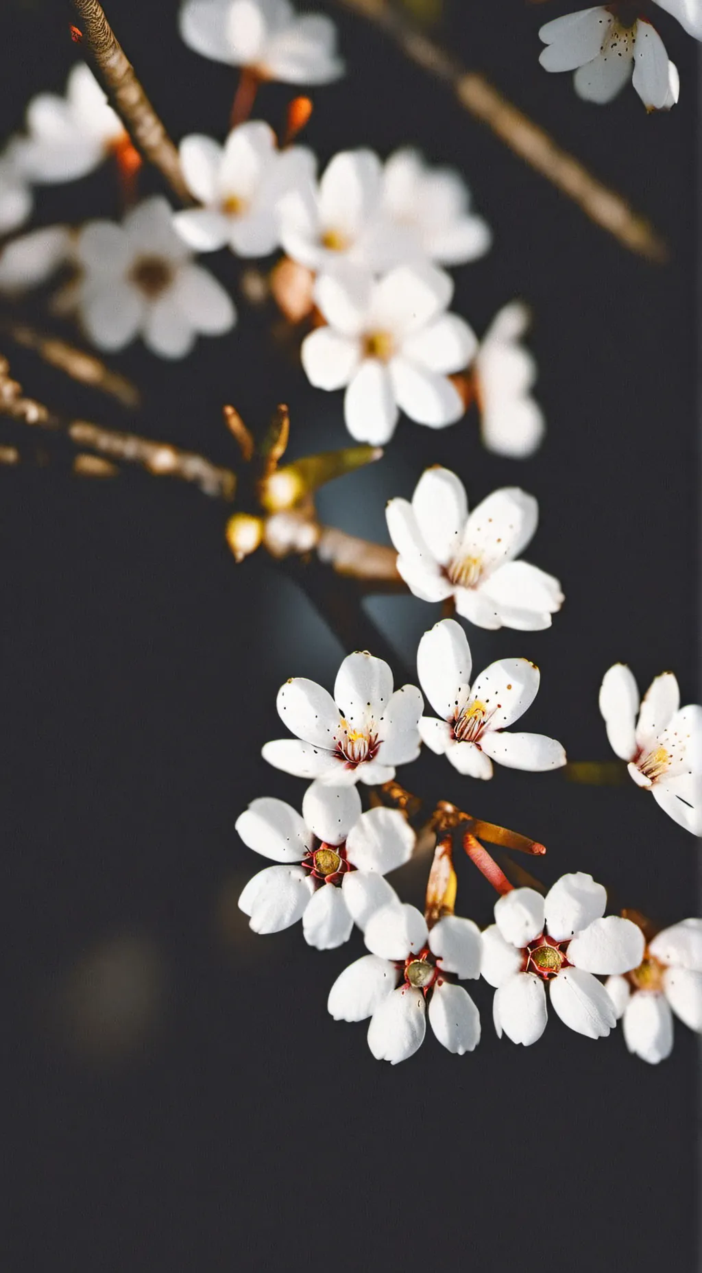 ai character: ochaco uraraka background