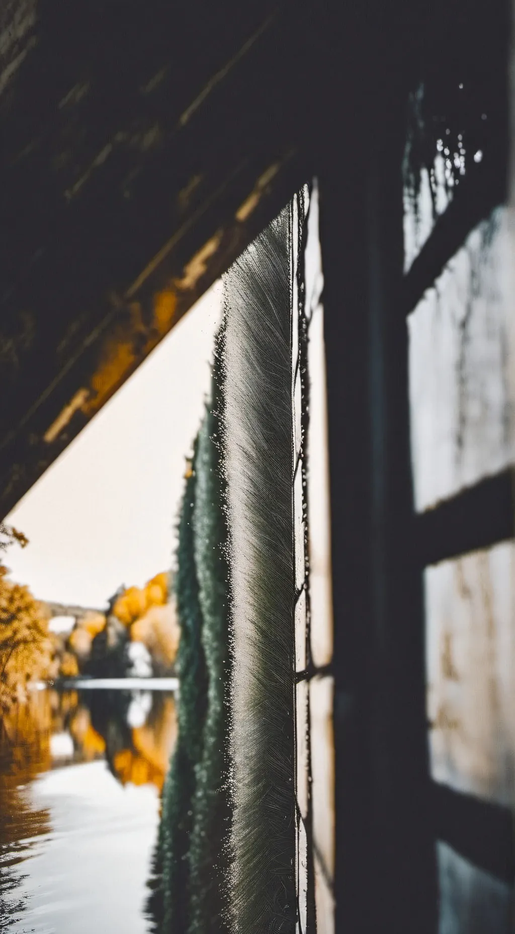 ai character: Jesse background