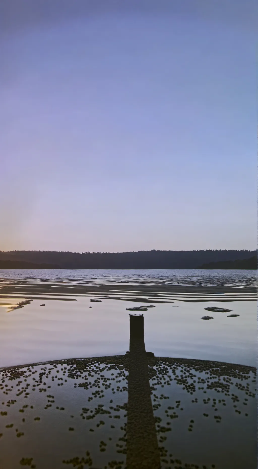 ai character: Dsmp background