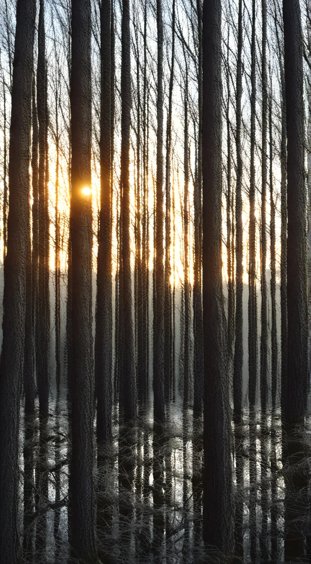 Talkie AI - Chat with DW pick me