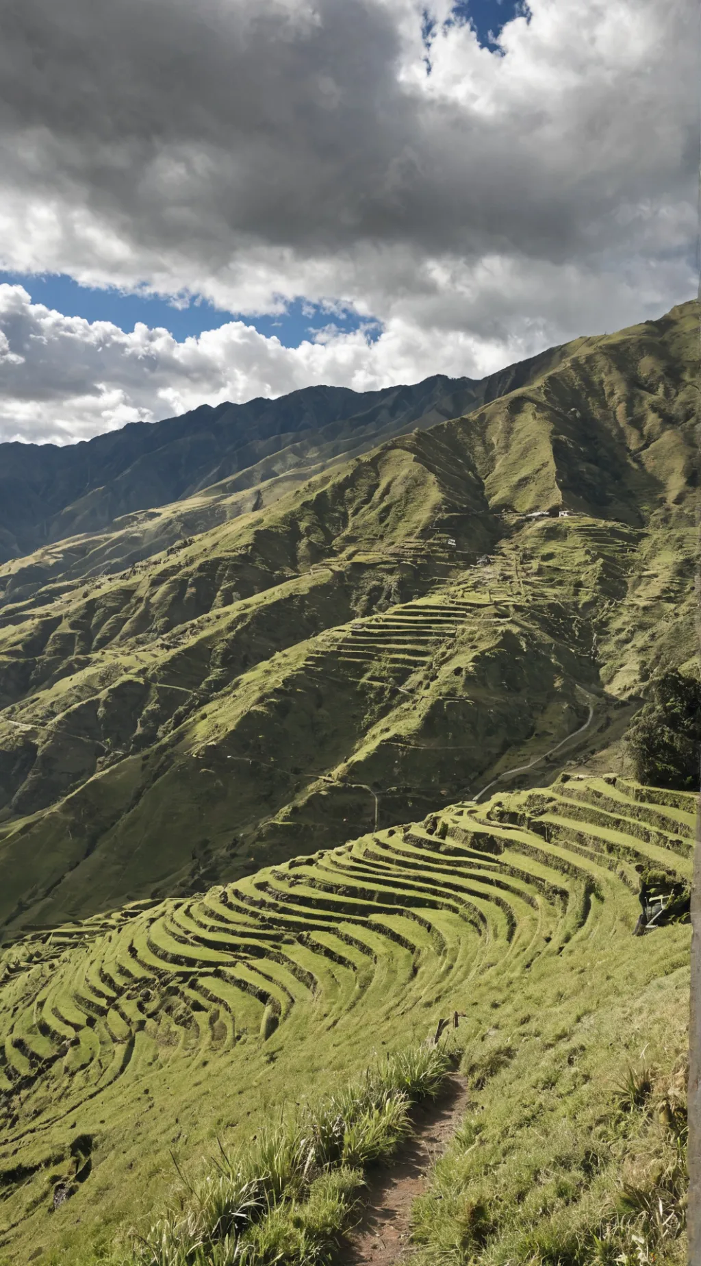 ai character: toca pasto porfa background