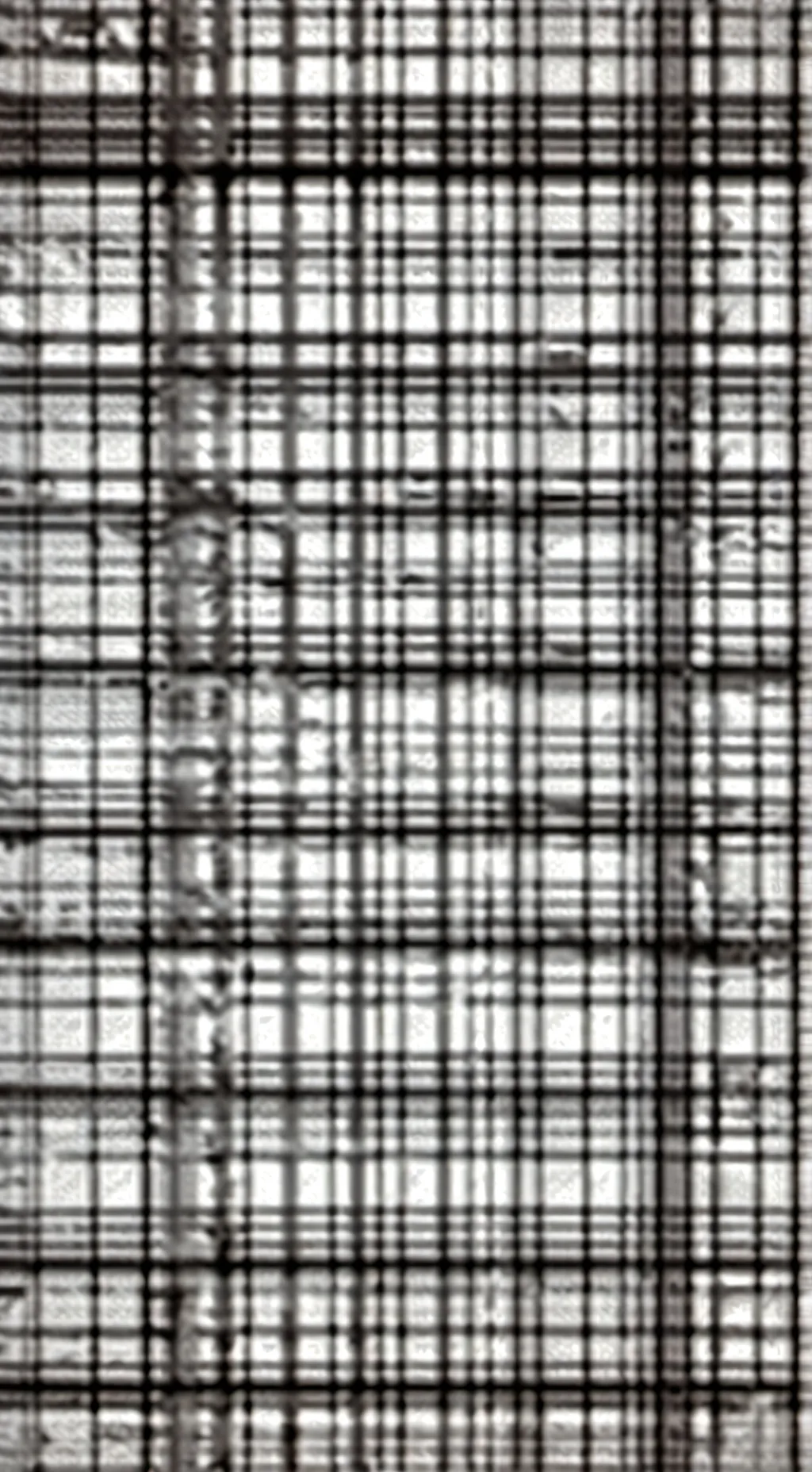 ai character: Bodyguard😏 background