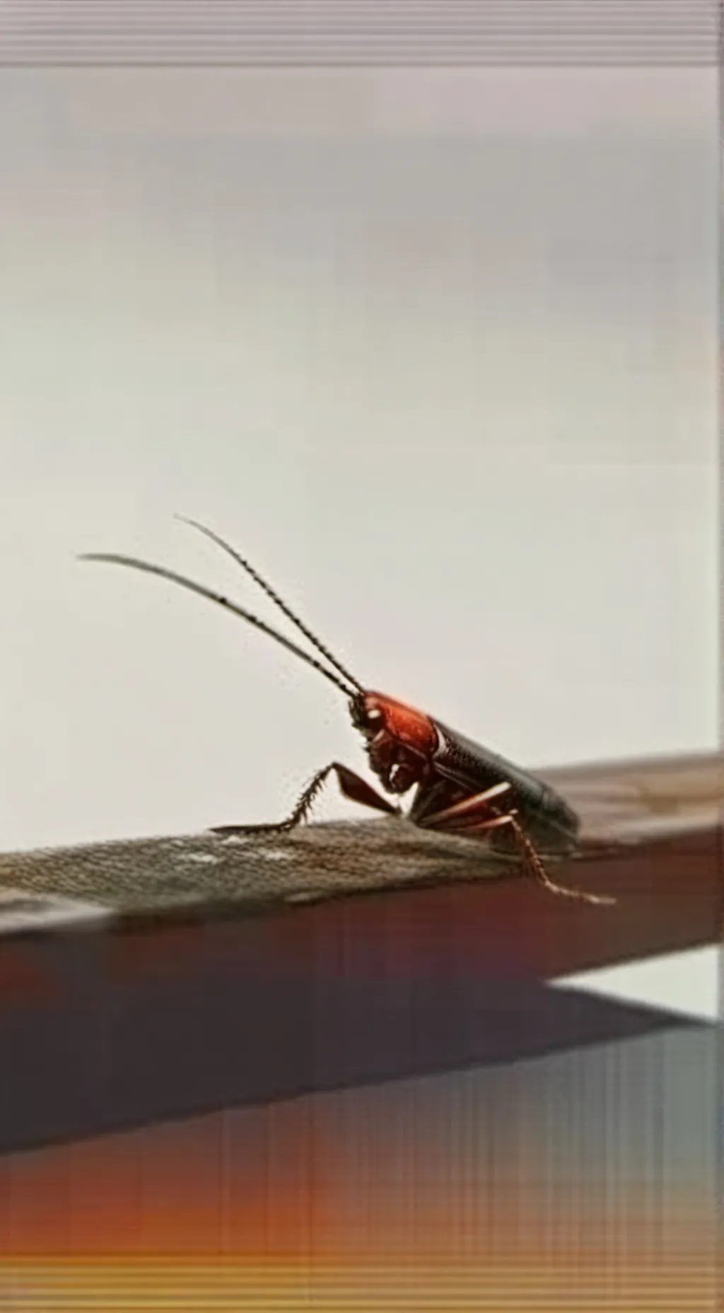 ai character: Roach background