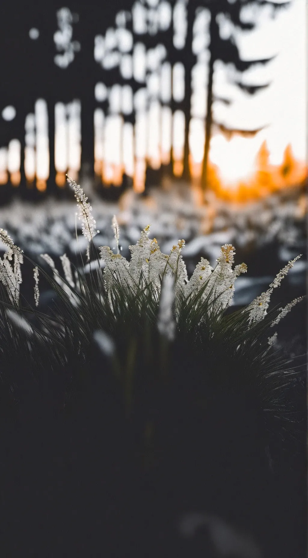 ai character: Touch grass background