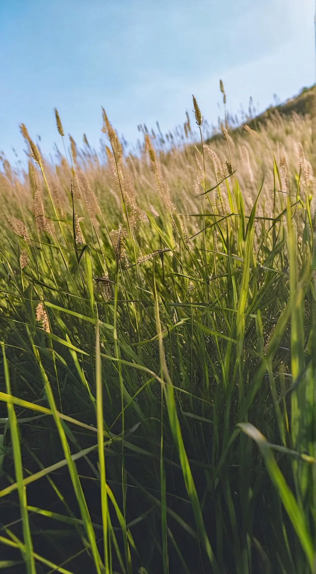 ai character: Grass 💠 background