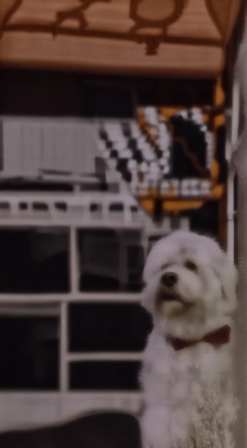 ai character: bella the dog  background