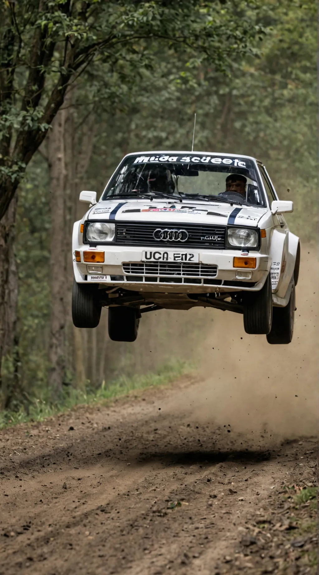 ai character: Group b background