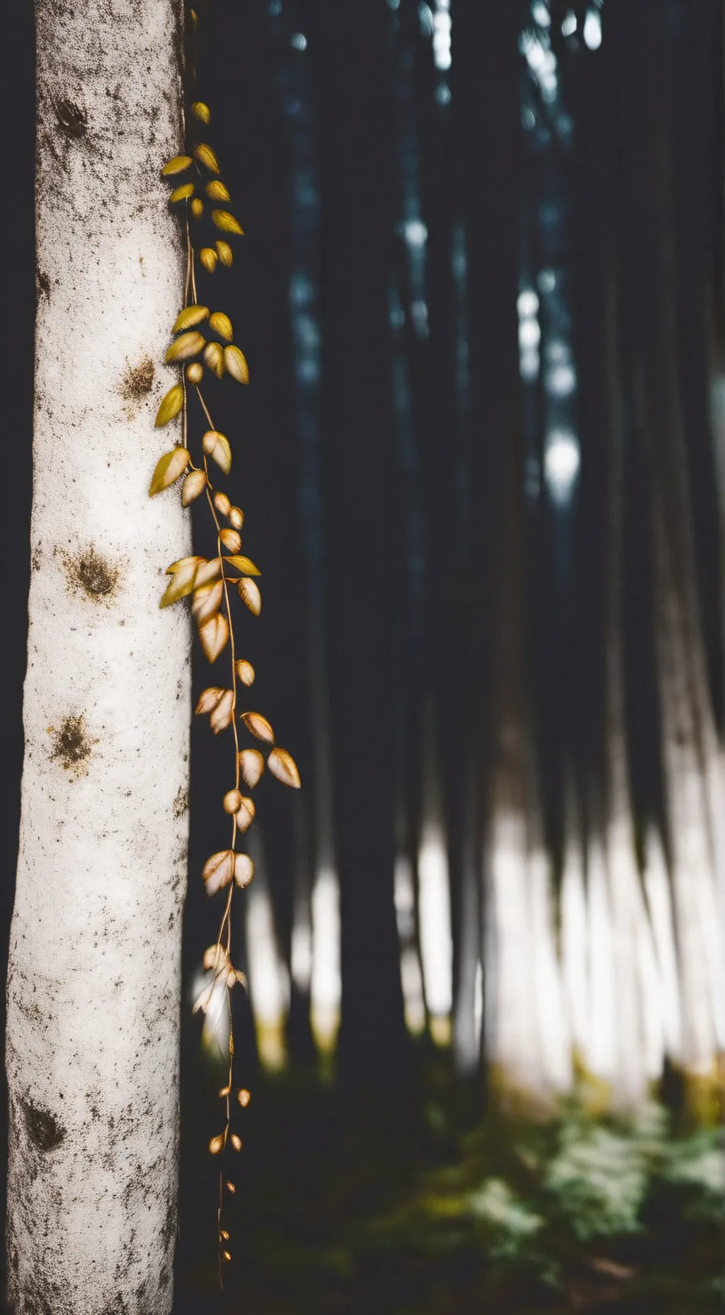 ai character: Hypnotizing vines background