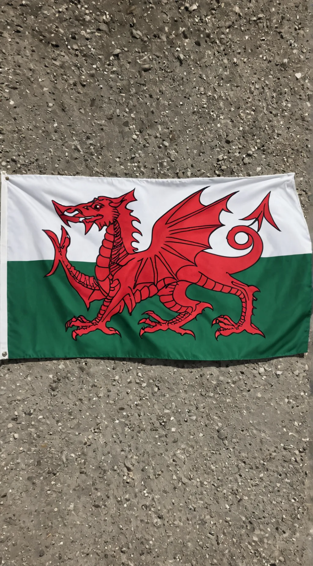 ai character: Wales Family 2 background