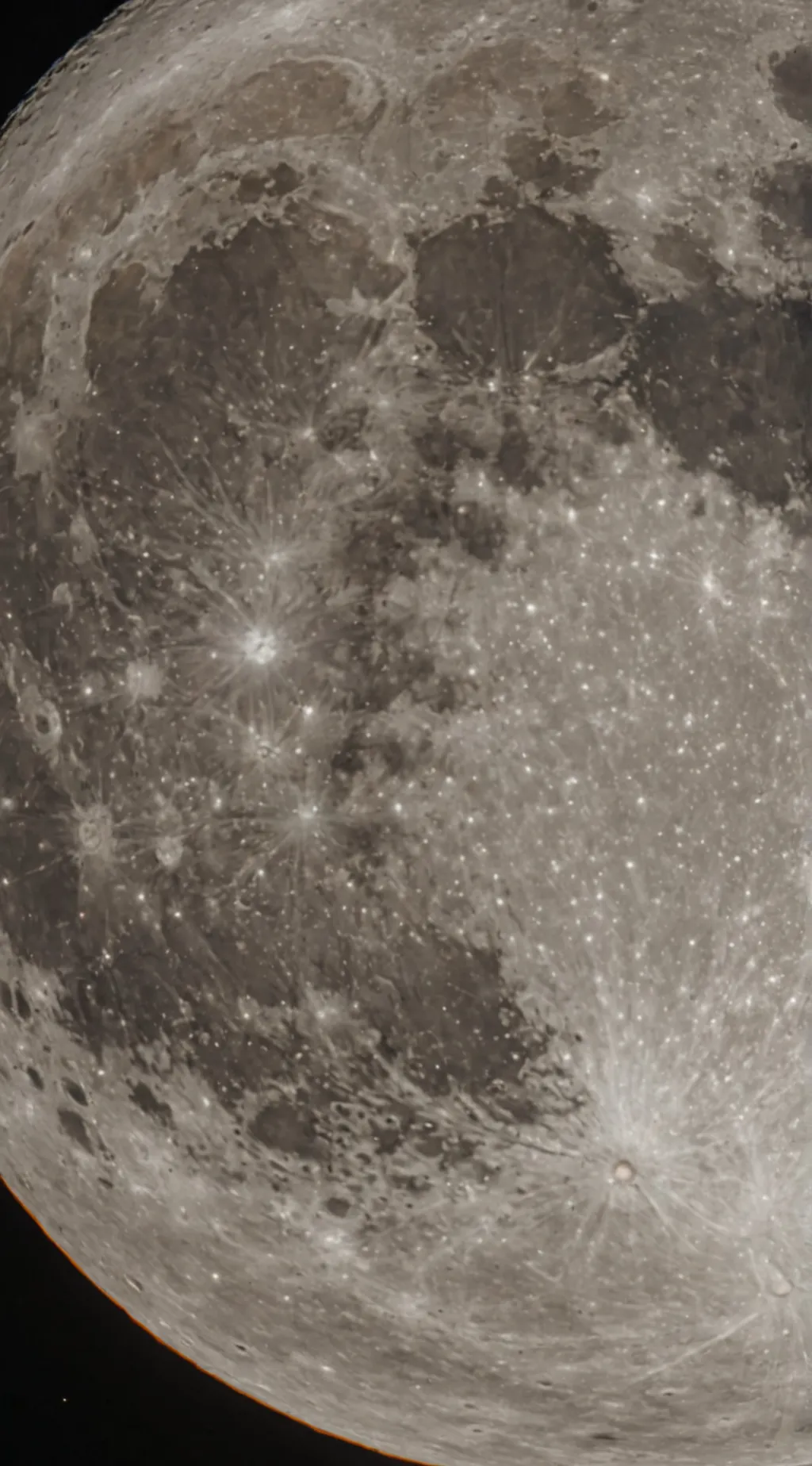 ai character: dandys world background