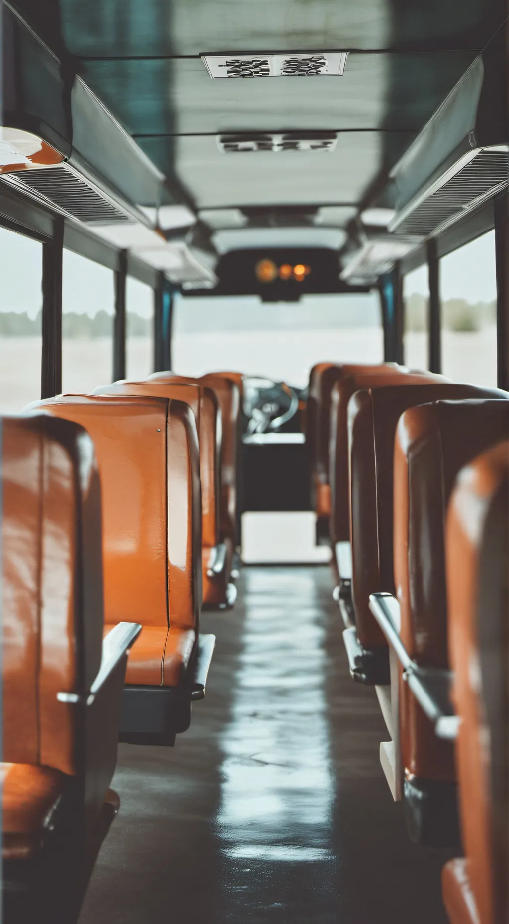 ai character: -MD-field trip background