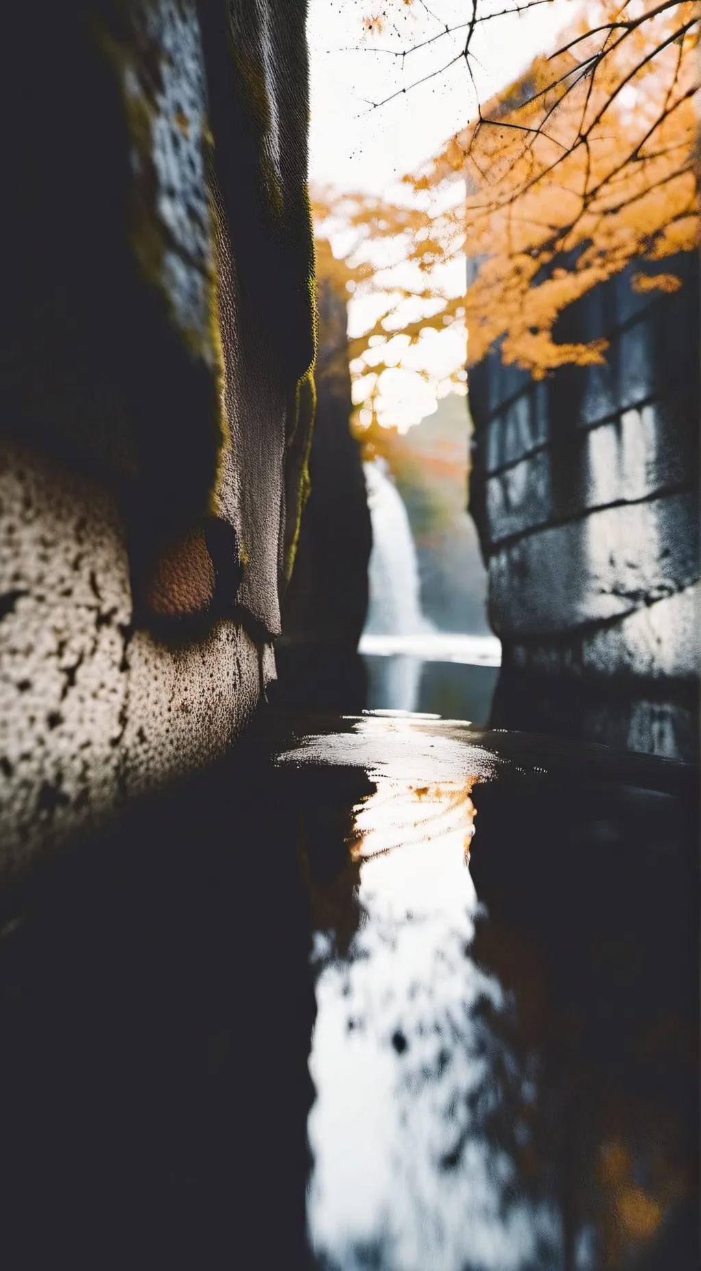 ai character: Cn guess yr name background