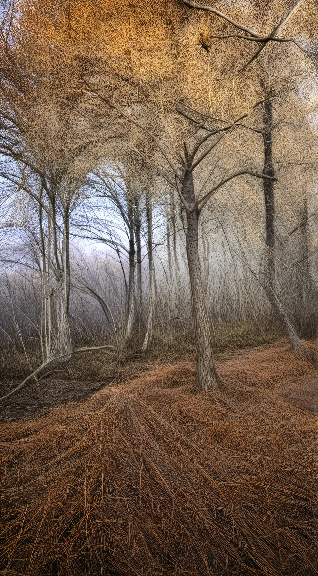 ai character: Chris Sturniolo  background