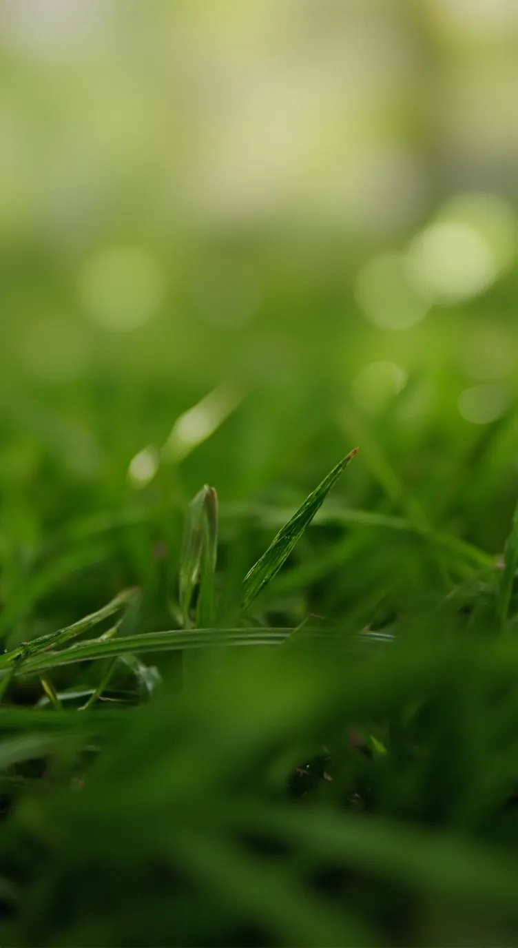 ai character: grass background