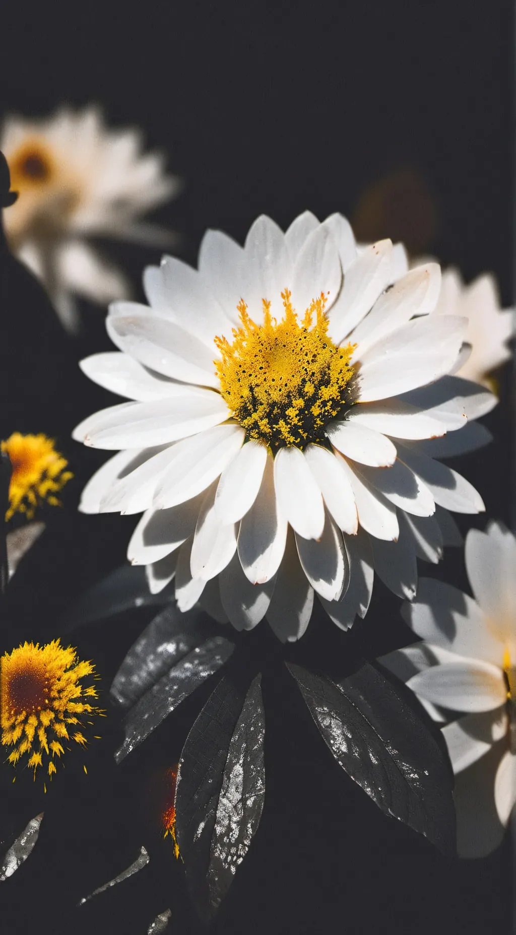 ai character: BumbleBee background