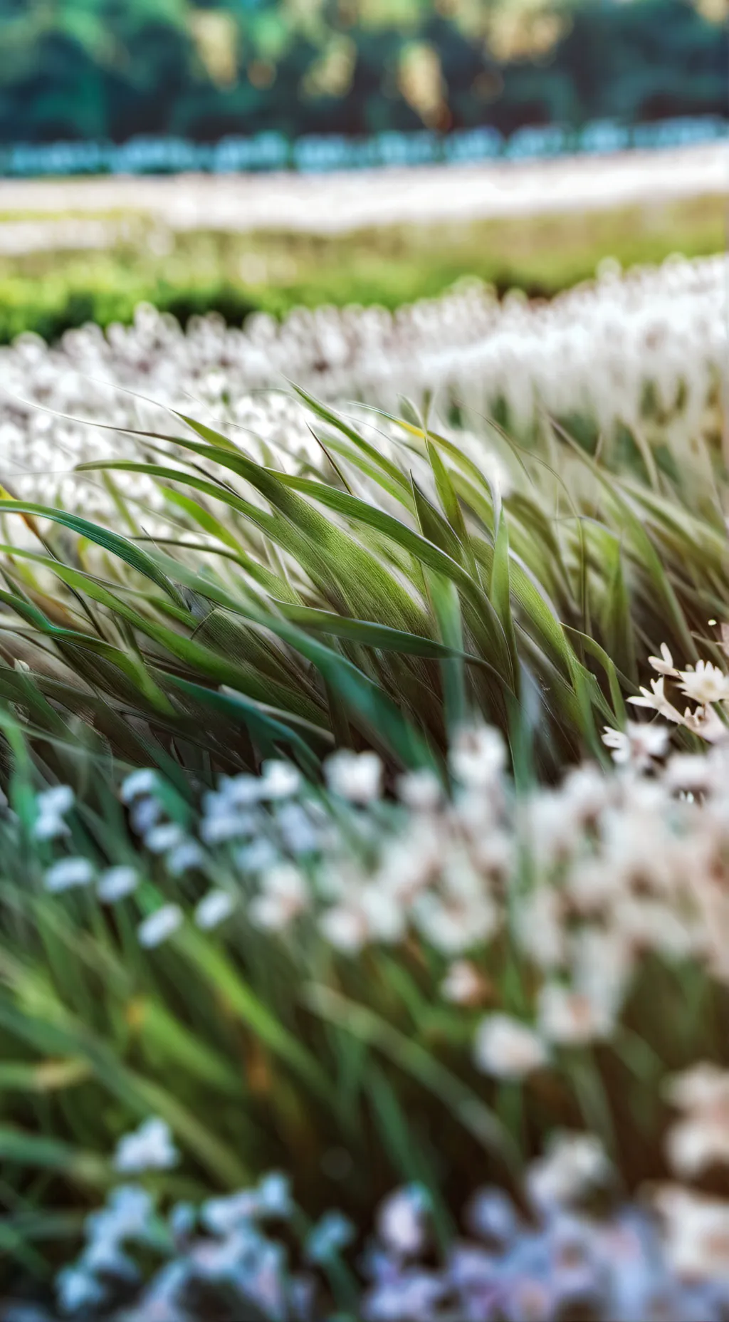 ai character: Grass background