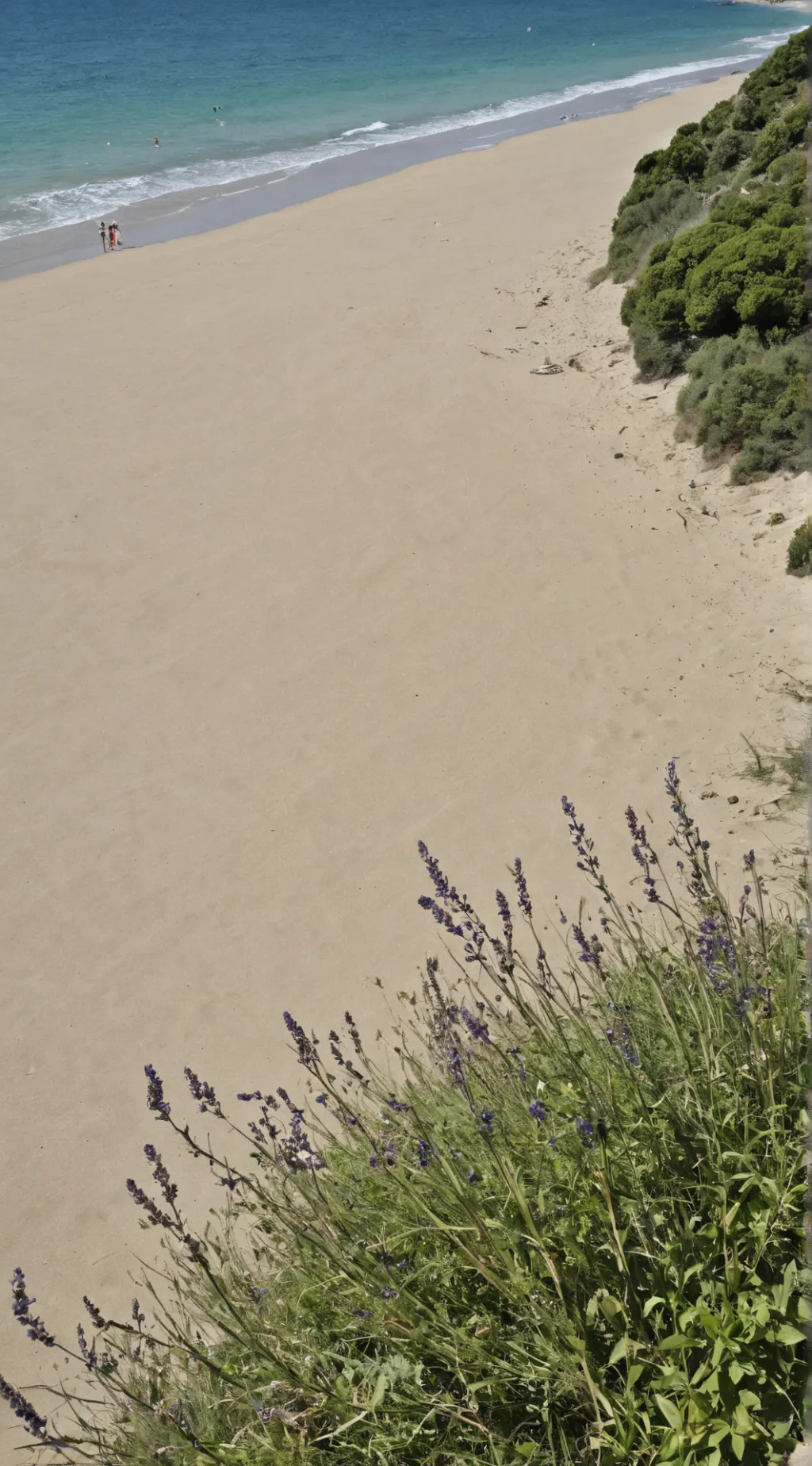 ai character: OBX PARTY! background