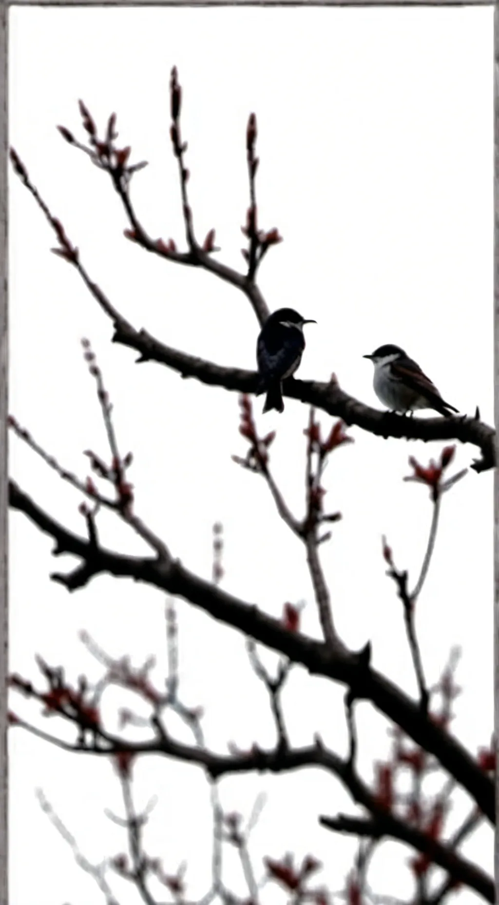 ai character: I’m sorry background