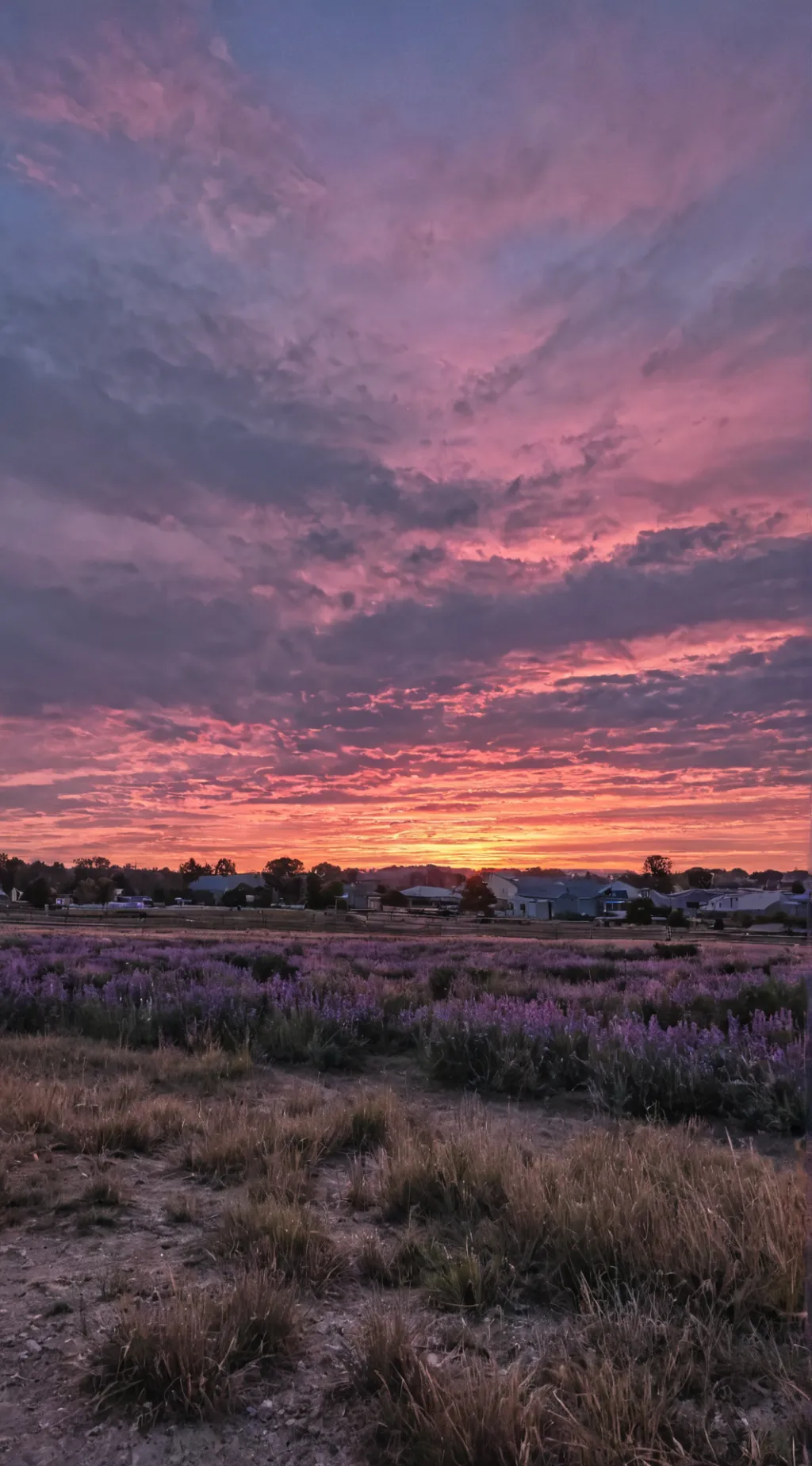 ai character: ♤DW♠ background